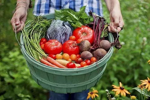 六大农产品安全谣言揭秘，你误信了么？