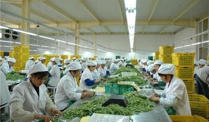 农村办厂指南 适合人群与农产品加工盈利方向