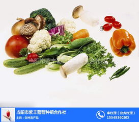 平顶山农产品免费配送 打造便捷生活新体验